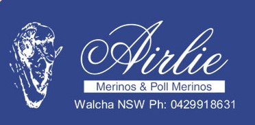 Airlie Merinos Logo
